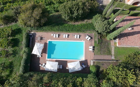 Il Vigneto, Verona, Pool, Wifi: Svømmepøl, Udvej, Estate, Eco Hotel, Have, Villa, Hacienda, Landscaping, Hotel, Stuehus