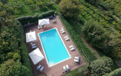 Il Vigneto, Verona, Pool, Wifi: Svømmepøl, Udvej, Eco Hotel, Udendørs Møbler, Have, Hotel, Landscaping, Villa, Hacienda, Plantation