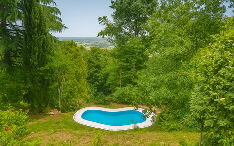 Casa Delle Eriche, Colli Euganei, Pool, Wifi: Svømmepøl, Have, Skygge, Landscaping, Gård, Backyard, Eco Hotel