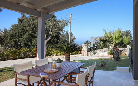 Villa Don Sante In Locorotondo Puglia: Plante, Bord, Møbel, Ejendom, Himmel, Stol, Azure, Skygge, Belysning, Træ