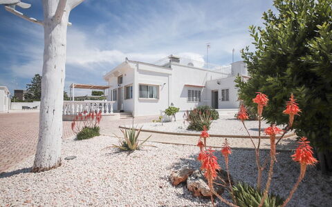 Villa Azzurra Seaview In Monopoli, Puglia: Sky, Plante, Himmel, Ejendom, Bygning, Vindue, Træ, Hus, Land Lot, Arecales
