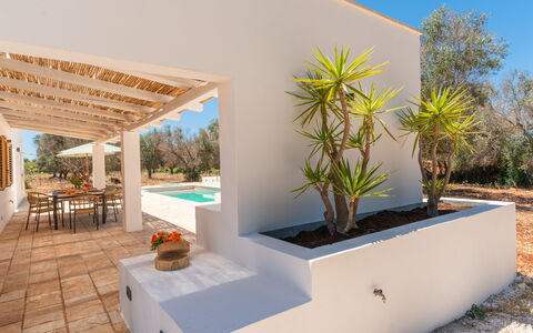 Villa Jolie: Skygge, Landscaping, Have, Eco Hotel, Estate, Design, Hacienda, Villa, Udvej