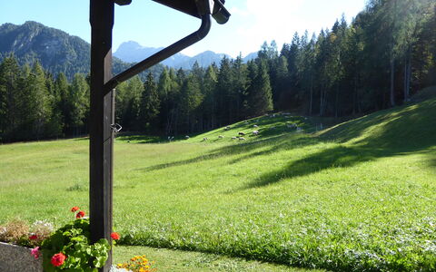 Baita Mountain View Pale San Martino: Grøn, Bunddække, Forår, Eng, Have, Lawn, Pasture, Lærk, Landscaping, Dal