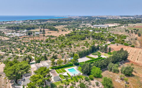 Masseria Ceratonia: Træ, Fugleperspektiv, Boligområde, Landskab, Luftfotografering, Land Lot, Urban Design, Forstad, Estate, Plantation