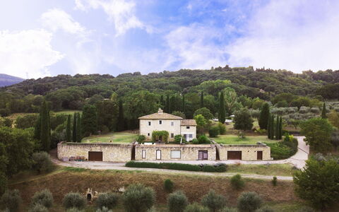 Terra Quercus: Landskab, Landdistrikt, Estate, Menneskelig Bosættelse, Hjem, Sommerhus, Landsby, Stuehus, Skov, Hill Station