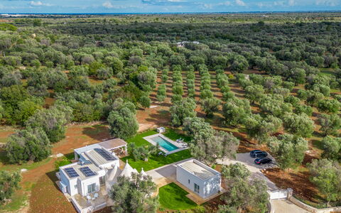 Trullo Brenda: Træ, Fugleperspektiv, Landskab, Luftfotografering, Almindeligt, Land Lot, Estate, Plantation, Landscaping, Parkere