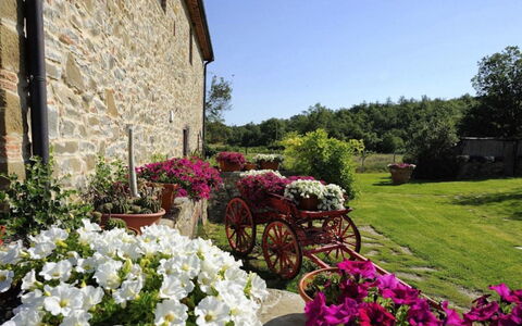 Mulino della Villa: Blomst, Busk, Have, Lyserød, Forår, Landscaping, Blomsterkrukke, Blomsterhandlere, Gård, Stueplante