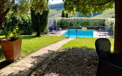 Il Bosco: Busk, Have, Svømmepøl, Skygge, Lawn, Backyard, Landscaping, Fritid, Gård
