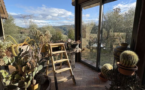 Poggio Aperto: Blomsterkrukke, Have, Landscaping, Stueplante, Backyard, Udendørs Struktur