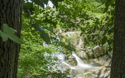 Mulino della Frateria: Vandressourcer, Vand, Krop Af Vand, Natur, Naturligt Miljø, Naturlige Landskab, Afdeling, Strøm, Vandløb, Vegetationen