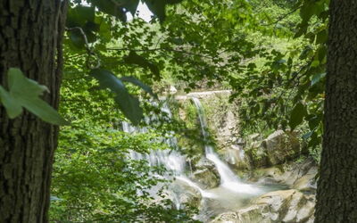 Mulino della Frateria