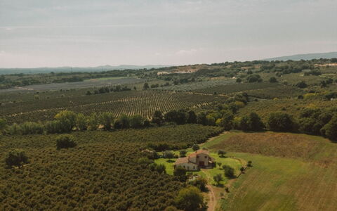 Bagnoletto: Græs-, Mark, Almindeligt, Landskab, Plantation, Landdistrikt, Landbrug, Land Lot, Eng, Pasture