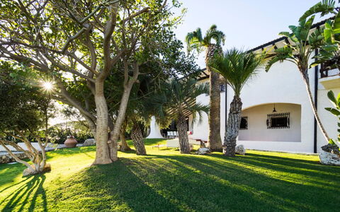 Villa Luna Blu: Træ, Arkitektur, Skygge, Have, Estate, Landscaping, Hacienda, Udvej