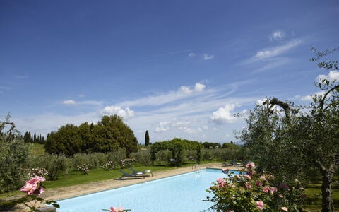 Villa del Riccio: Busk, Have, Estate, Landscaping, Hacienda, Villa, Svømmepøl, Plantation, Gårdsplads, Stuehus