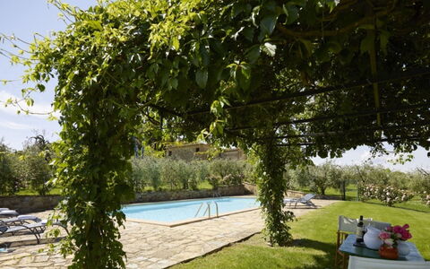 Villa del Riccio: Skygge, Udendørs Møbler, Backyard, Svømmepøl, Eco Hotel