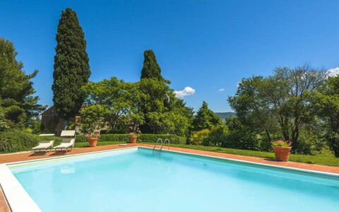 Podere Contignano: Have, Svømmepøl, Hacienda, Estate, Landscaping, Eco Hotel, Villa, Stuehus, Evergreen