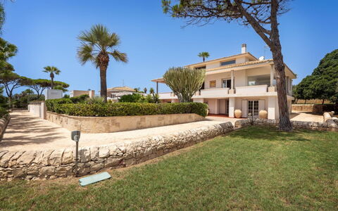 Villa delle Palme: Boligområde, Hjem, Estate, Mansion, Landscaping, Have, Hacienda, Altan, Villa