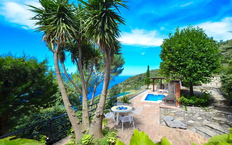 Villa Campanella: Blå, Udvej, Eco Hotel, Have, Svømmepøl, Landscaping, Tropics, Hotel, Altan