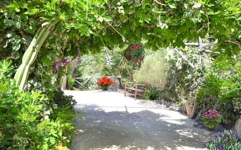 Villa Campanella: Blomst, Vegetationen, Busk, Have, Forår, Blomsterhandlere, Botanisk Have, Walkway, Sti