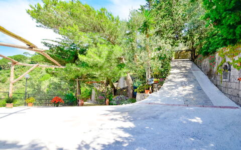 Villa Campanella: Træ, Blad, Afdeling, Vegetationen, Vedplante, Walkway, Skygge, Trappe, Landscaping, Indkørsel