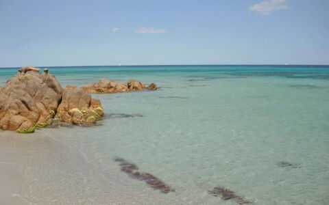Apartments In Golfo Orosei: Blå, Kyst, Hav, Strand, Coastal Og Oceaniske Landskabsformer, Kyst, Ocean, Vind Wave, Sand