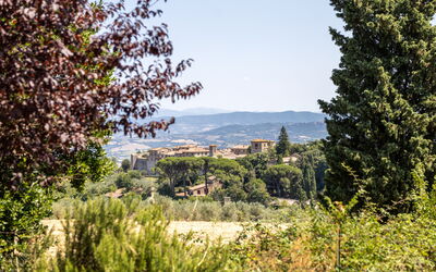 Poggio Padule