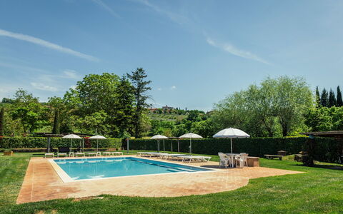 La Pergola: Træ, Svømmepøl, Busk, Udvej, Have, Eco Hotel, Landscaping, Skygge, Plantation, Hacienda