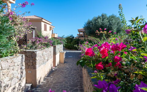 Golfo Aranci Apartments With Ac: Have, Landscaping, Villa, Hacienda, Wildflower, Altan, Botanisk Have, Eco Hotel, Ferieby