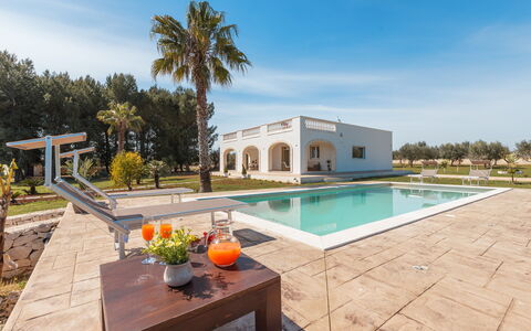 Villa Pallino: Arkitektur, Estate, Kompositmateriale, Hacienda, Landscaping, Skygge, Mansion, Villa, Design, Svømmepøl