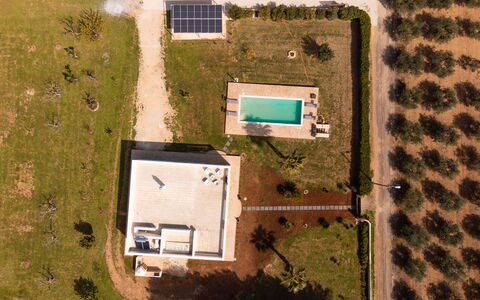 Villa Pallino: Boligområde, Landskab, Almindeligt, Svømmepøl, Estate, Luftfotografering, Fugleperspektiv, Landscaping, Lawn, Design