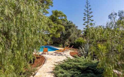 Villa San Vito: Busk, Have, Vedplante, Skygge, Landscaping, Backyard, Botanisk Have, Evergreen