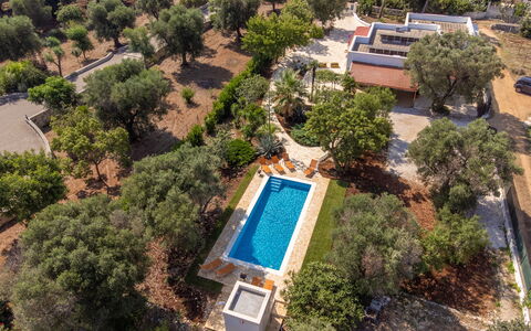 Villa San Vito: Træ, Landskab, Estate, Landscaping, Hacienda, Svømmepøl, Plantation, Luftfotografering, Villa
