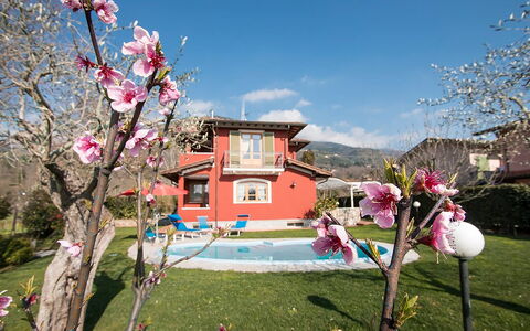 Villa Camaiore: Hus, Hjem, Have, Lawn, Estate, Gård, Landscaping, Hacienda, Stuehus, Backyard
