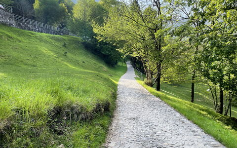 Miralago: Grøn, Græs, Naturlige Landskab, Landskab, Sti, Walkway, Bunddække, Færdselsåre, Mountain Pass, Landscaping