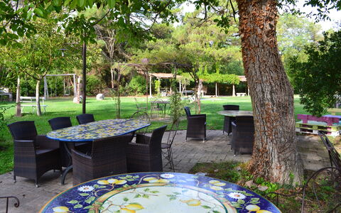 Appartamento La Torretta Di Pietra, Wifi, Perugia: Møbel, Bord, Udendørs Møbler, Stol, Have, Udendørs Bord, Skygge, Lawn, Forår, Backyard