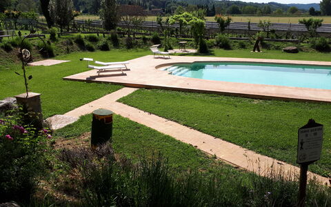 Appartamento La Torretta Di Pietra, Wifi, Perugia: Have, Svømmepøl, Udendørs Møbler, Lawn, Skygge, Backyard, Landscaping, Fritid, Parkere, Water Feature