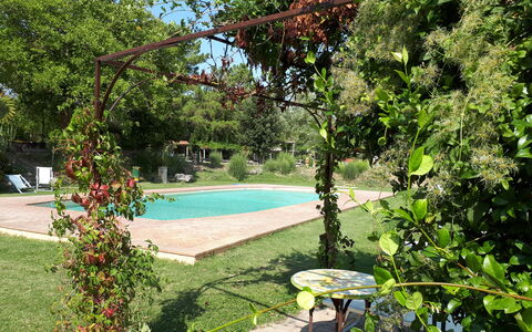 Appartamento Il Cantico Del Gallo, Wifi, Near Peru: Busk, Have, Skygge, Forår, Backyard, Gård, Lawn, Landscaping, Blomsterkrukke