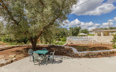 Trullo Quattro Carrini: Have, Skygge, Estate, Landscaping, Backyard