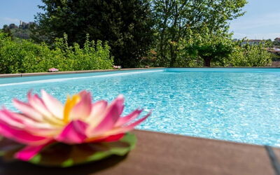 Casale La Pieve: Vand, Svømmepøl, Have, Landscaping, Udvej, Water Feature, Eco Hotel, Botanisk Have, Backyard