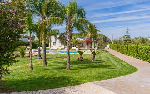 Ville Poggioreale: Træ, Have, Busk, Lawn, Vedplante, Landscaping, Skygge, Hacienda