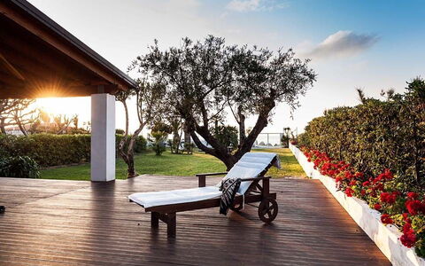 Cala Marina: Skygge, Have, Lawn, Landscaping, Gård, Udendørs Møbler, Udendørs Struktur, Eco Hotel, Backyard, Villa