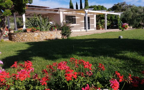 Il Tramonto: Busk, Have, Skygge, Estate, Lawn, Hacienda, Gård, Backyard, Landscaping