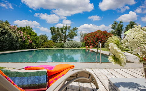 Villa Flaminia: Vand, Svømmepøl, Udendørs Møbler, Busk, Have, Møbel, Stol, Udvej, Fritid, Eco Hotel