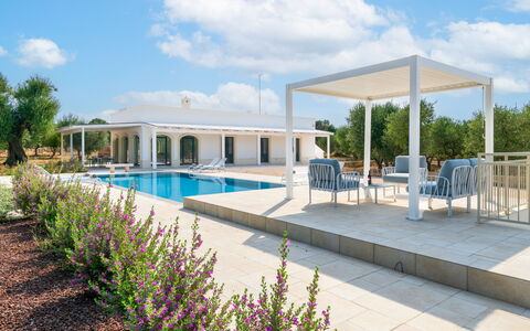 Villa Prestige: Svømmepøl, Skygge, Udendørs Møbler, Kompositmateriale, Udendørs Struktur, Have, Estate, Stol, Udvej, Landscaping