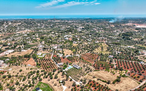 Villa Prestige: Daytime, Boligområde, Luftfotografering, Fugleperspektiv, Byområde, Landskab, Kvarter, Forstad, Horisont, Urban Design