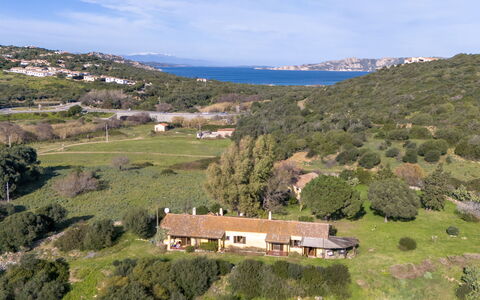 Feriebolig:&nbsp;Tramontana 62.3