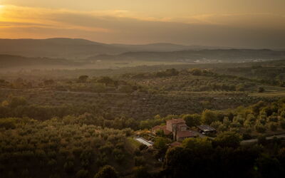 Villa Olivo