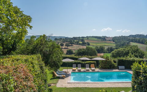 La Piccola Oasi: Svømmepøl, Udvej, Have, Estate, Landscaping, Eco Hotel, Liggestol, Udendørs Møbler, Villa, Backyard