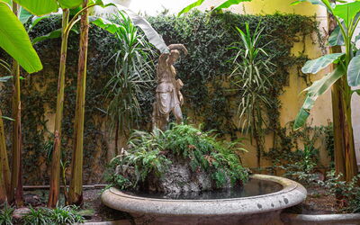 Luminosa Vittoria