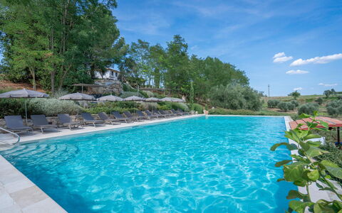 Belmonte Spereto Apartment With Pool, Montaione: Svømmepøl, Udvej, Udendørs Møbler, Eco Hotel, Liggestol, Have, Landscaping, Thermae, Ferieby, Hacienda